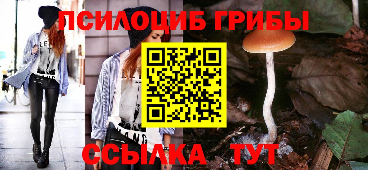 Псилоцибиновые грибы ЛСД  Галлюциногенные грибы Cubensis  Бутурлиновка  Вход с VPN 